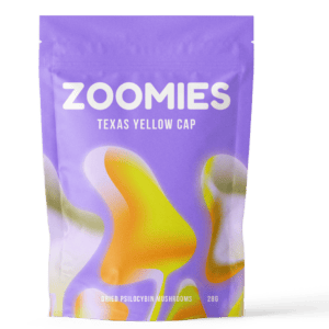 Texas Yellow Cap | Microdosing Mushrooms Canada