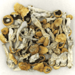 Orissa | Microdosing Mushrooms Canada