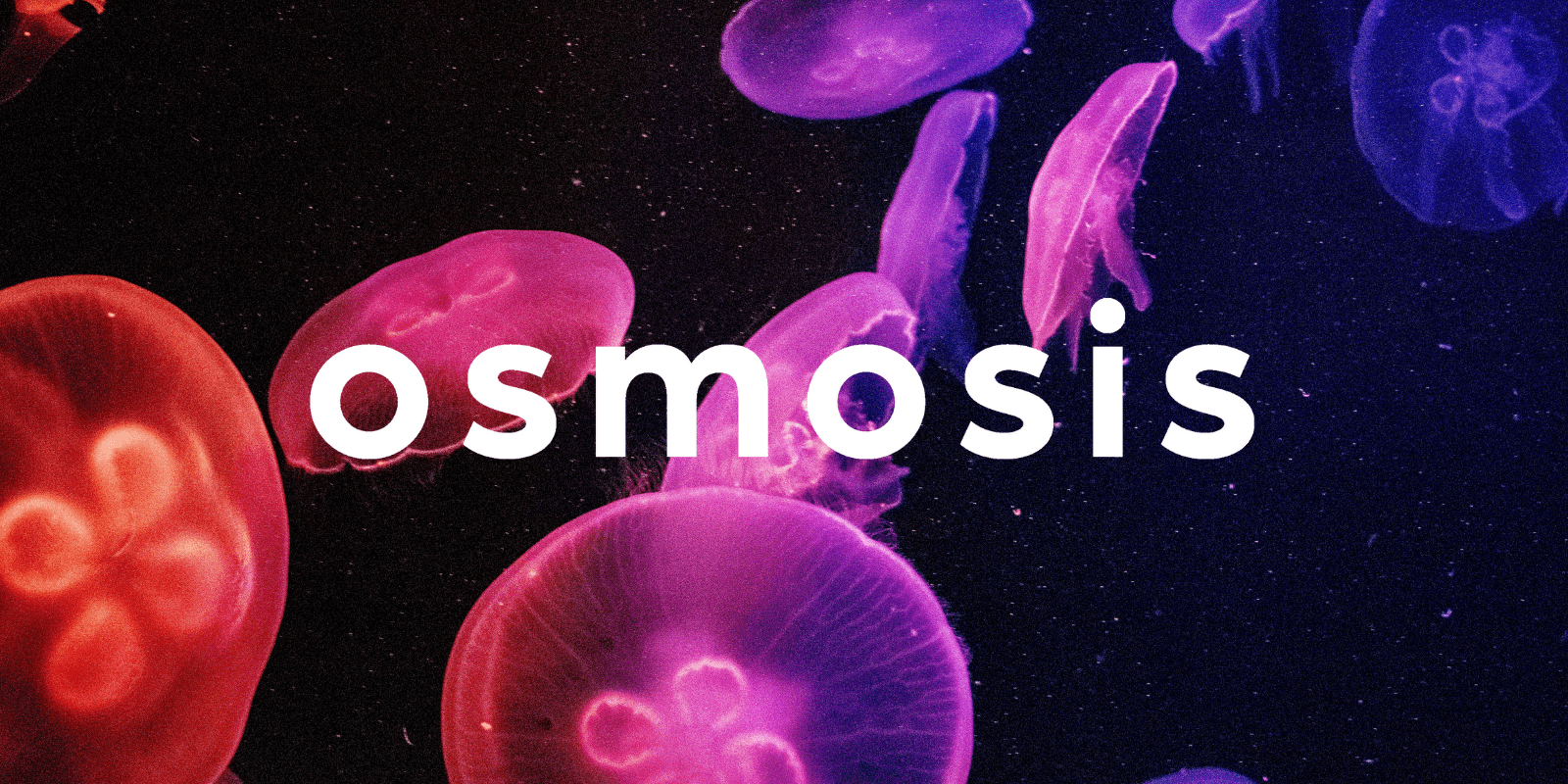 Zoomies osmosis banner | Microdosing Mushrooms Canada