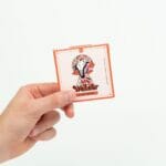 Wonder – Psilocybin Chocolate Bar – Blood Orange | Microdosing Mushrooms Canada