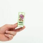 Wonder – Psilocybin Chocolate Bar – Dark Chocolate | Microdosing Mushrooms Canada