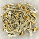 Hautla | Microdosing Mushrooms Canada