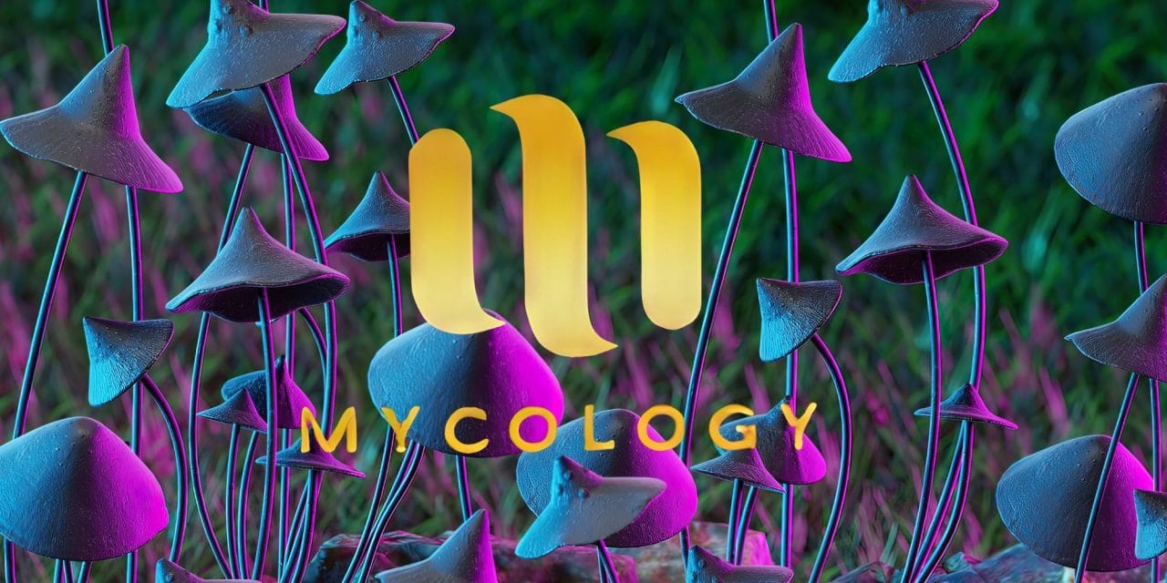 Zoomies Summer 2023 Banner - Mycology | Microdosing Mushrooms Canada