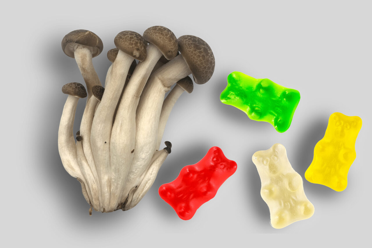 Top LSD edibles in Canada Edibles enriched with LSD