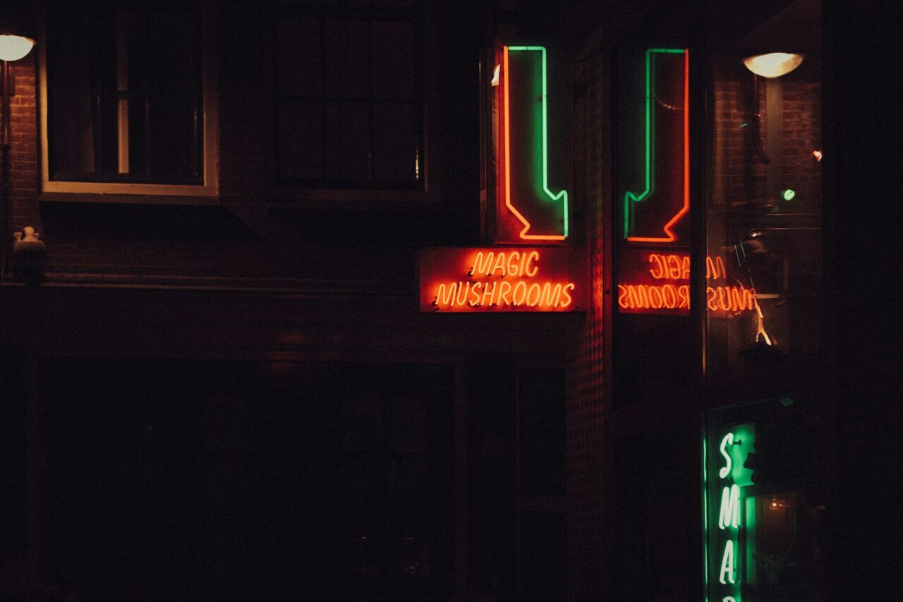 Vancouver’s Mushroom Dispensary – Understanding Canada’s Progress in the Mushroom Boom, Comparable to the US